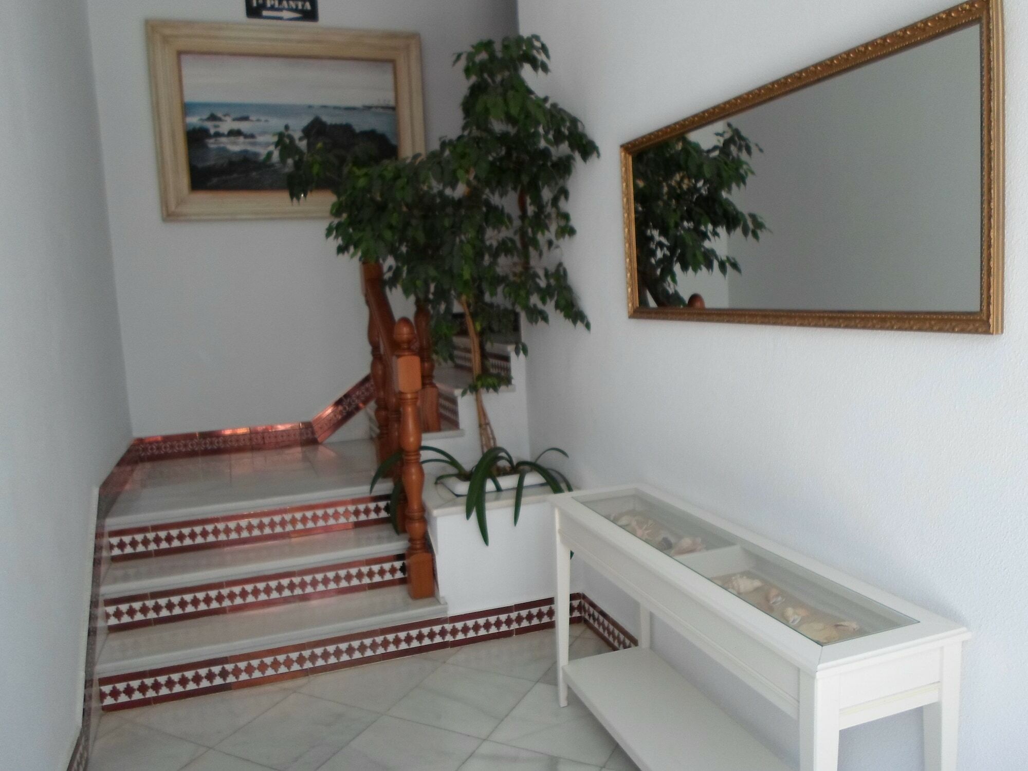 Hostel Conil コニル・デ・ラ・フロンテラ エクステリア 写真